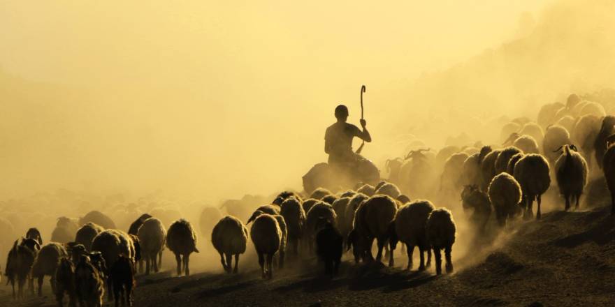 Nemrut Dağı'na Yayla Yolculuğu Başladı!