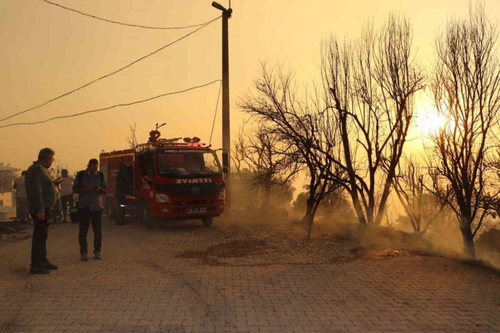 Orman Yangınlarıyla Mücadele Devam Ediyor! 16