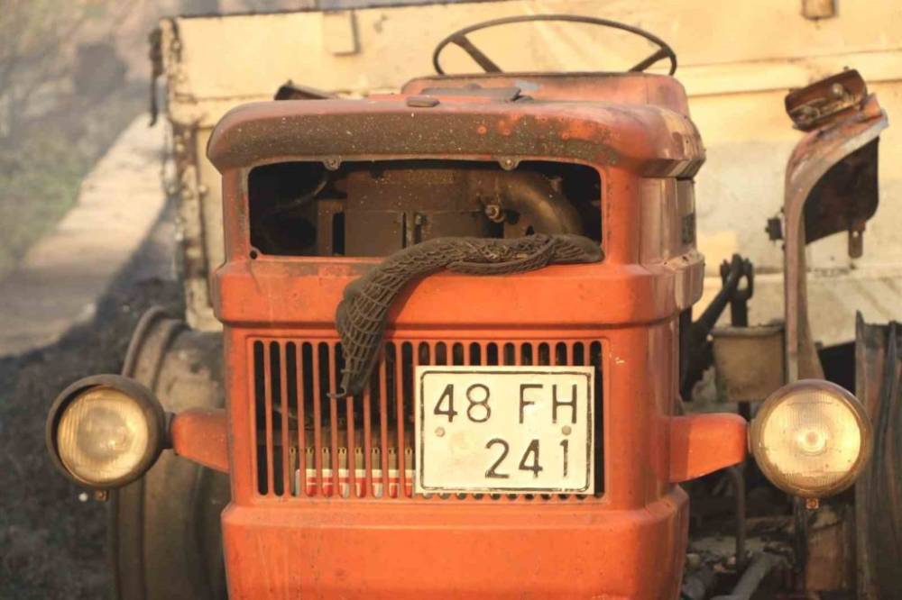 Orman Yangınlarıyla Mücadele Devam Ediyor! 18