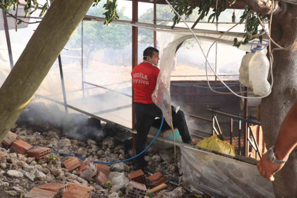 Orman Yangınlarıyla Mücadele Devam Ediyor! 27