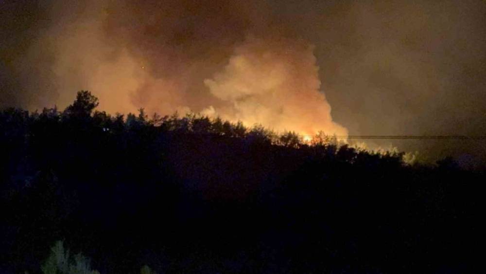 Orman Yangınlarıyla Mücadele Devam Ediyor! 30
