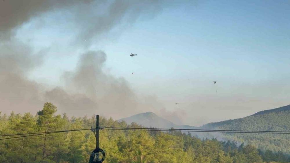 Orman Yangınlarıyla Mücadele Devam Ediyor! 35