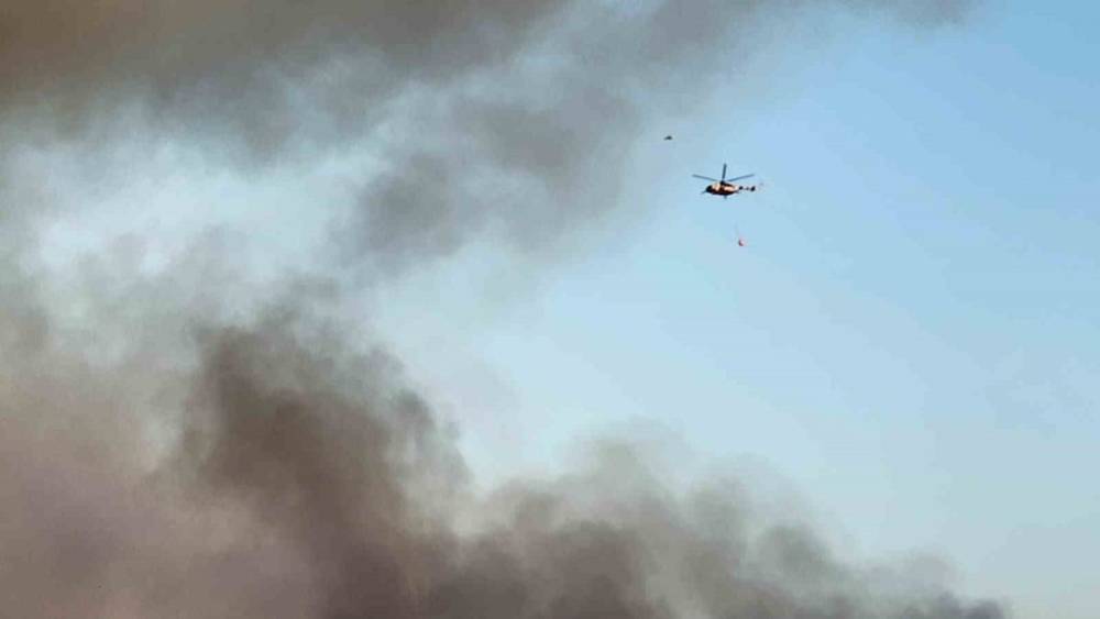 Orman Yangınlarıyla Mücadele Devam Ediyor! 39