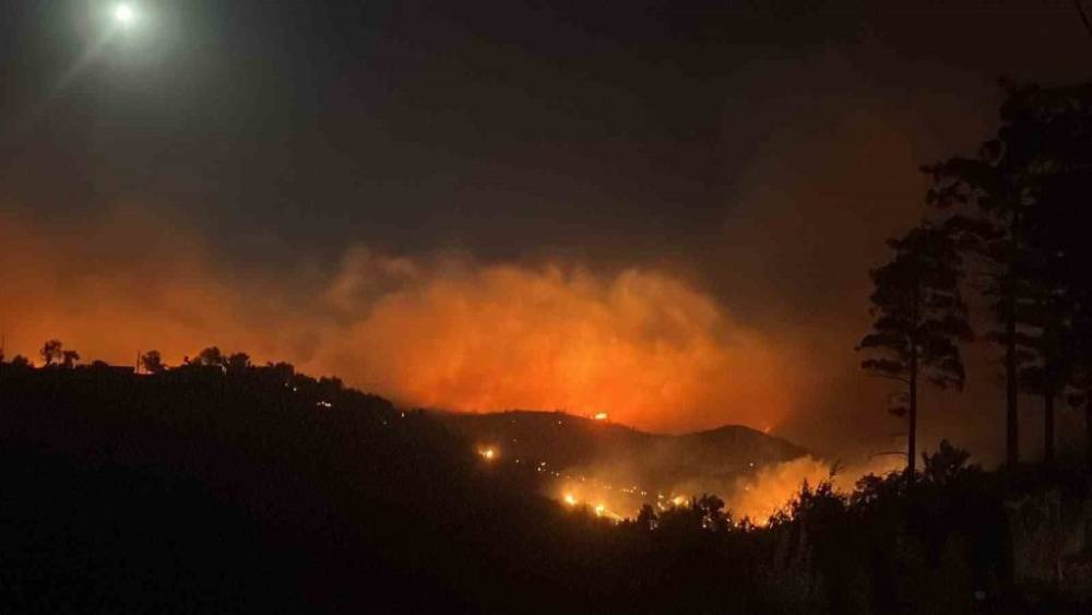 Orman Yangınlarıyla Mücadele Devam Ediyor! 5