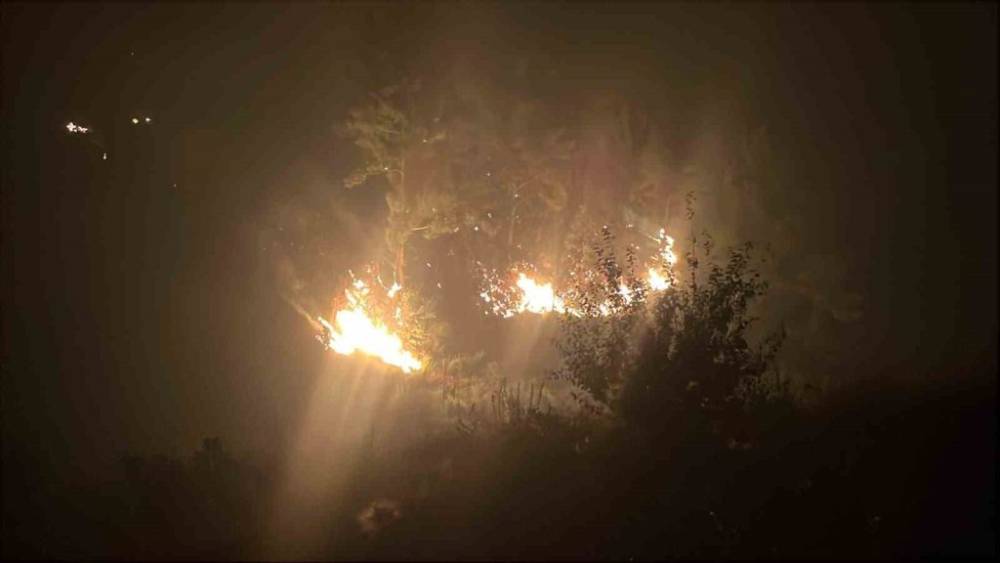 Orman Yangınlarıyla Mücadele Devam Ediyor! 6