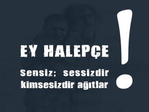 Şeyhmus Diken, Halepçe'ye Düşen Bomba!