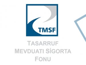 TMSF'ye Devredilen Şirketlerin Değeri 40 milyar