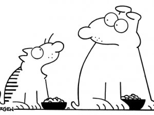 Dünyaca Ünlü Karikatüristler Bodrum’da Buluştu