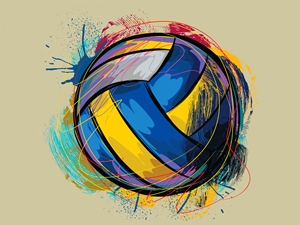 Fonex Şirketler Voleybol Ligi