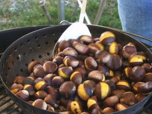 Bağcılar’da Kestane Bahçesi İlk Ürünlerini Verdi