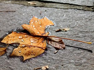 'Bölge'de Hava Sıcaklığı Düşüyor