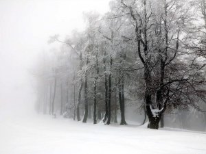 Kars’ta Okullara Kar Engeli