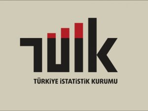 TUİK'in ARGE Faaliyetleri Araştırması