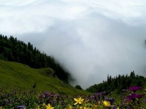 Artvin Cerattepe İçin Horona Durdu