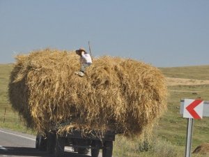 Traktör Römorku Üzerinde Tehlikeli Yolculuk