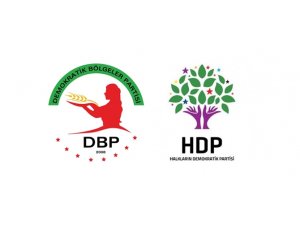 Tuzluca’da DBP-HDP Operasyonu