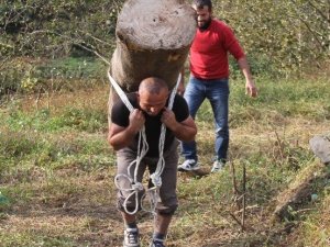 203 Kilogramlık Kütüğü Sırtında Taşıdı