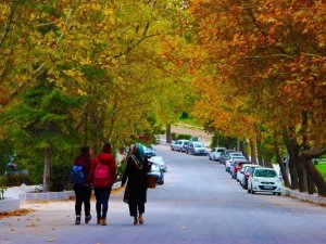 Eskişehir’de Sonbaharın Renkleri Büyüledi