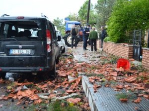 Ayvalık’ta Hortum Ağaçları Devirdi