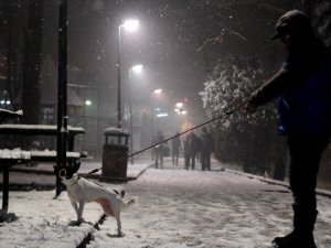 Karın Keyfini Çıkardılar