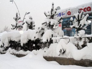 Ağrı’da Kar Yağışı