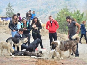 'Gönüllüler'den Hayvan Barınağı Ziyareti