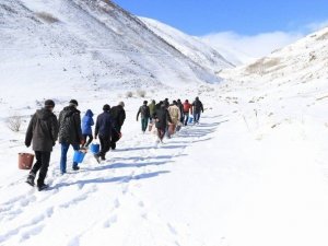 Hayvanlar İçin Yem Bırakıldı