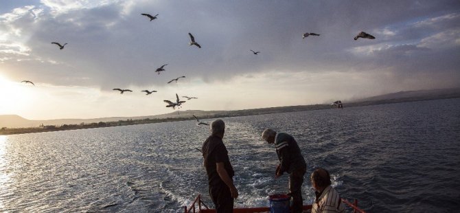 Van Gölü'nde İnci Kefali Avı Başladı