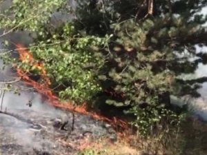 Orman Yangını 7 Gün Sonra Söndürüldü