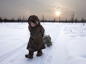 2017'nin En İyi Fotoğrafları
