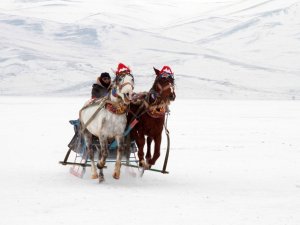 Çıldır Gölü'nde Renkli Görüntüler