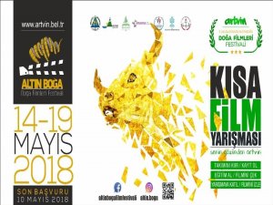 Altın Boğa Doğa Filmleri Festival Hazırlıkları