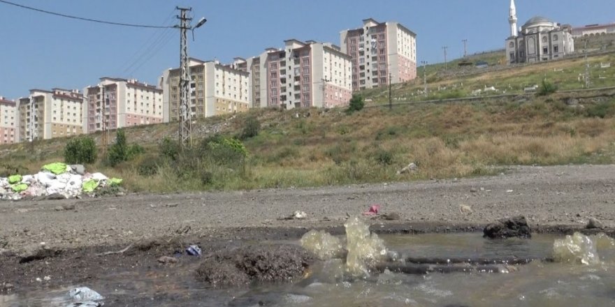 Kars’ta Kanalizasyon Dereye Akıyor