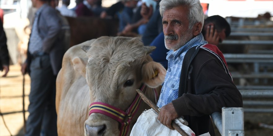 Otomobil Fiyatına Kurbanlıklar