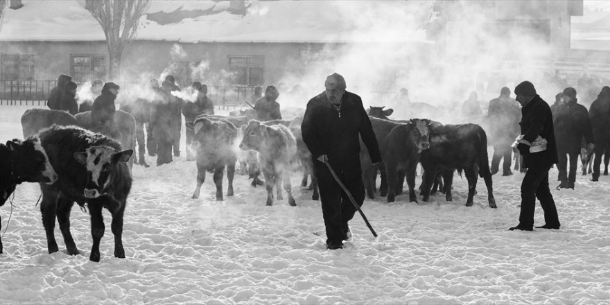 Fotoğraflarla Kars'ın ‘Mal Meydanı’