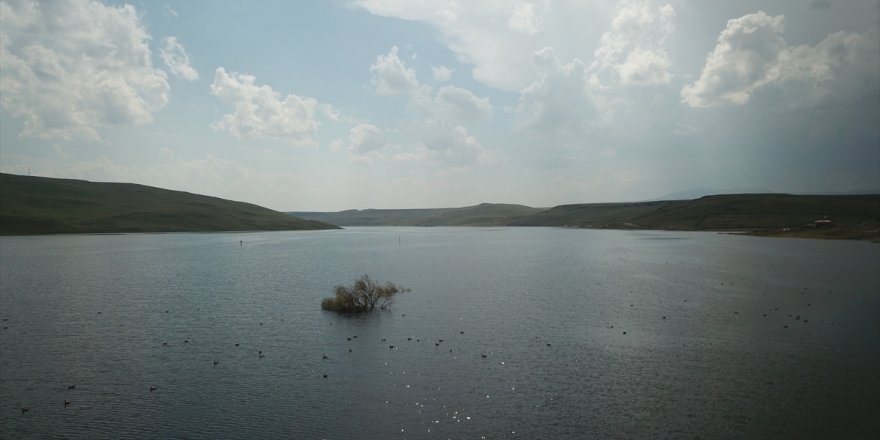 Kars Barajı Tarıma "Can Suyu" Olacak