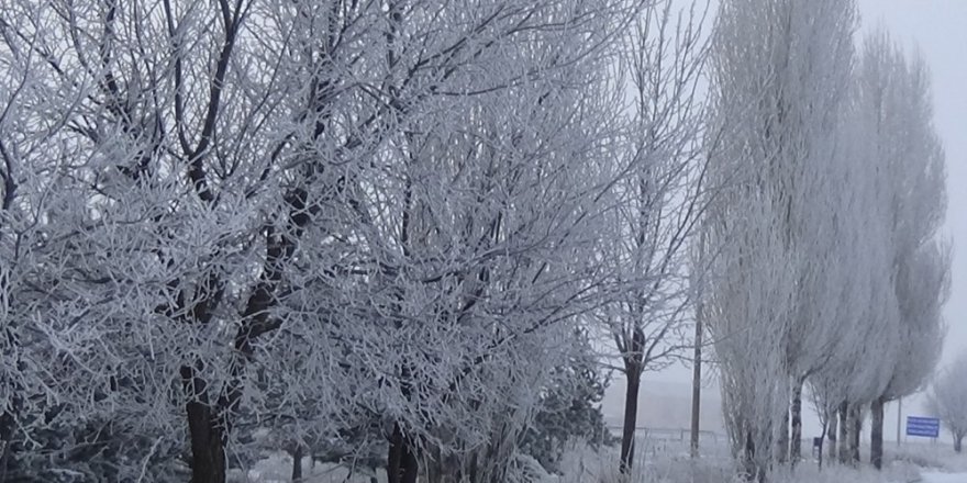 Kars’ta Dondurucu Soğuklar