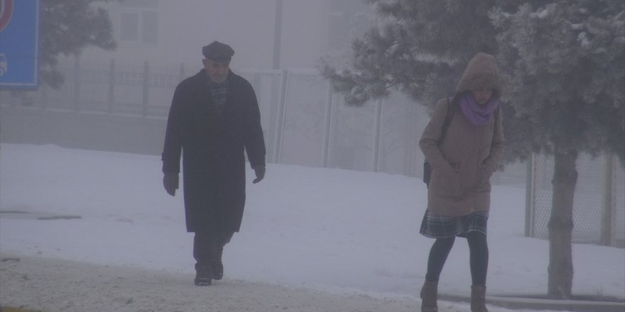 Kars ve Ağrı'da Yoğun Sis