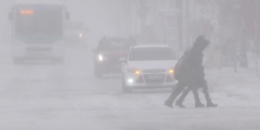 Kars’ta Tipi Hayatı Olumsuz Etkiliyor