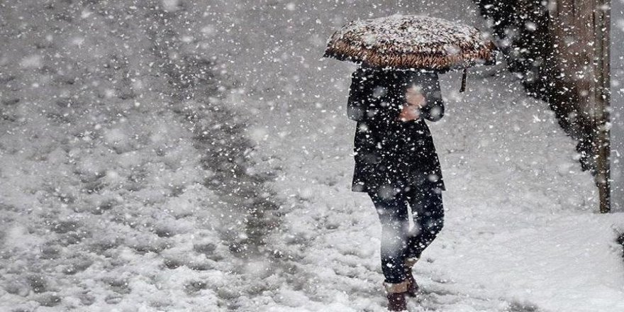 Ardahan'da Kar Yağışı