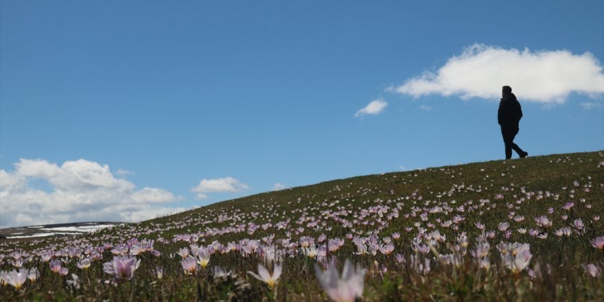 Kars'ta 'Bahar'