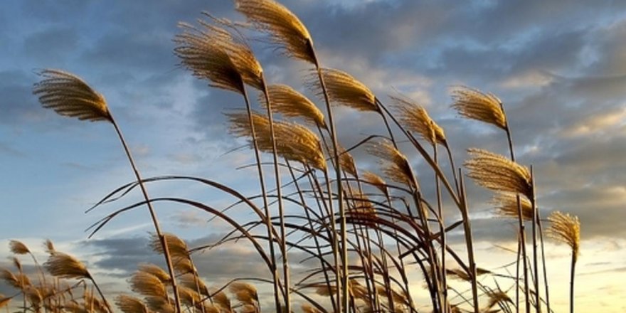 AFAD’dan 72 İl İçin ‘Sarı ve Turuncu’ Meteorolojik Uyarı