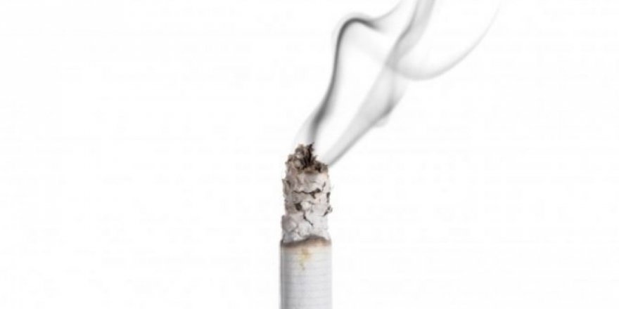 Vali Yardımcısı 'Sigara Denetimi' Yaptı