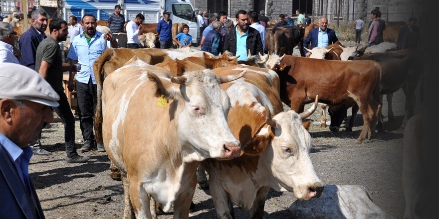 'Kurban Pazarı'nda Yoğunluk Yaşanıyor