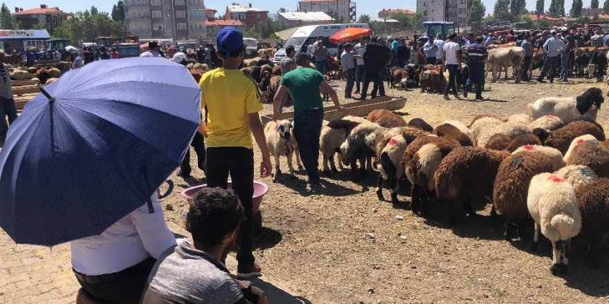 Kurban Pazarı'nda Yoğunluk Devam Ediyor