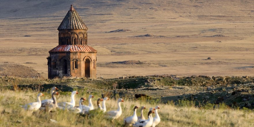 Ani'nin 'Mobil Uygulaması' Yayında