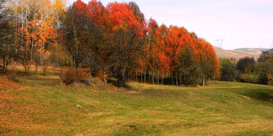 Posof’ta Sonbahar Bir Başka Güzel