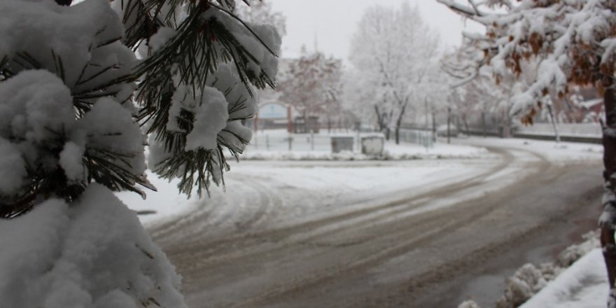 Erzurum’da Kar Hayatı Felç Etti