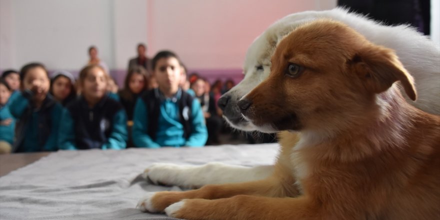 Karslı Çocuklar ve ‘Can Dostları’