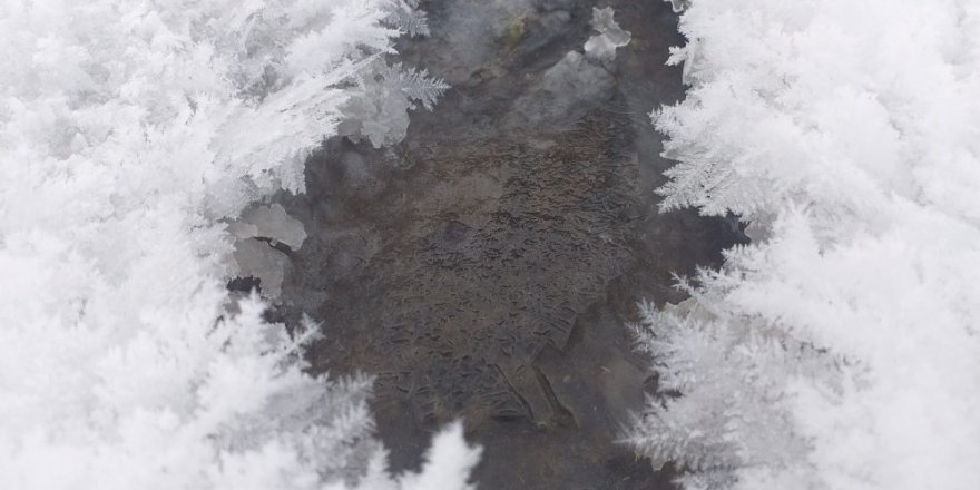 Kars | Soğuklara Karşı Kilimli, Battaniyeli Önlem